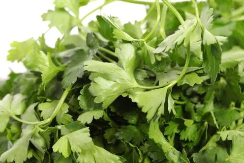 Parsley in close up Stock Photos