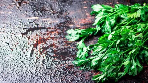 Parsley on a damp table. Stock Photos