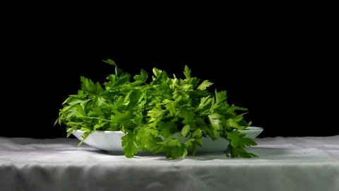 Parsley falling in a plate - Slow Motion Stock Footage 77715052