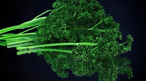 Parsley falls into the frame. Stock Footage 45504213