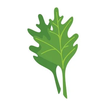 Parsley food icon flat vector. Herb leaf Stock Illustration