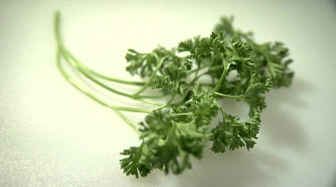 Parsley 스톡 동영상 377082
