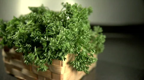 Parsley 스톡 동영상 377086