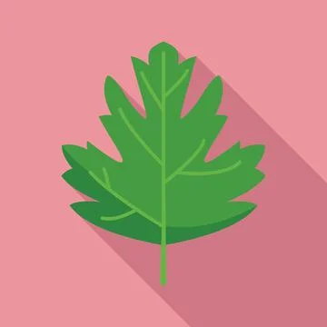 Parsley garnish icon flat vector. Herb plant 스톡 일러스트