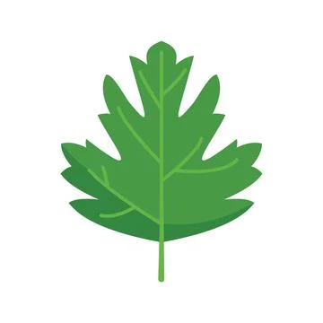 Parsley garnish icon flat vector. Herb plant Stock Illustration