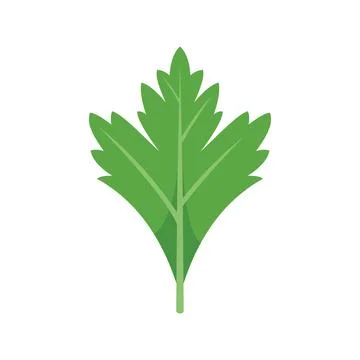 Parsley herb icon flat vector. Leaf plant Stock Illustration
