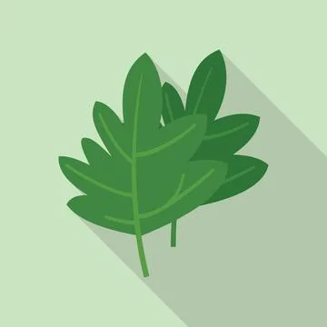 Parsley icon flat vector. Leaf herb Stock Illustration