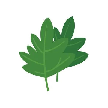 Parsley icon flat vector. Leaf herb Stock Illustration