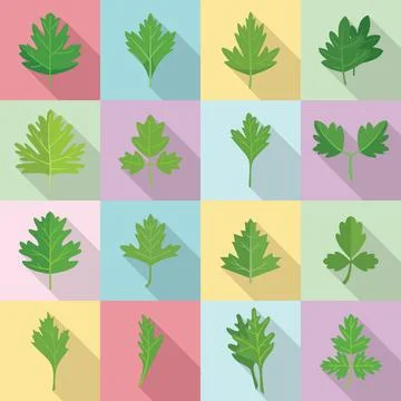 Parsley icons set flat . Bunch leaf Stock Illustration