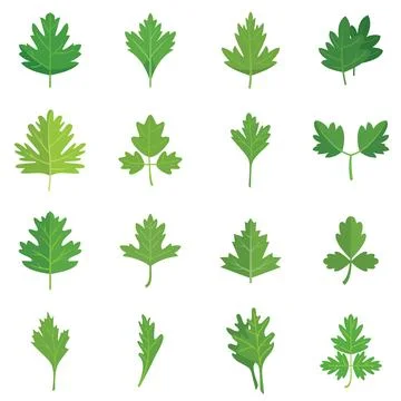 Parsley icons set flat vector. Bunch leaf Illustrazione stock