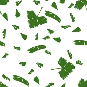 Parsley 스톡 일러스트