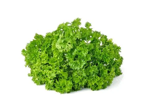 Parsley isolated on white background Stock Photos