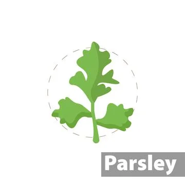 Parsley Leaf flat icon. isolated illustration. Illustrazione stock