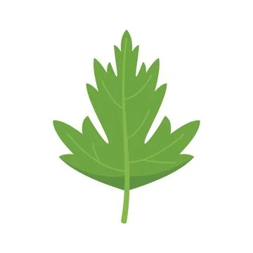 Parsley leaf icon flat vector. Herb plant Stock Illustration