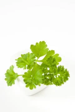 Parsley leaf isolated Stock Photos