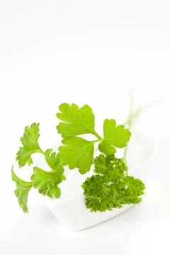 Parsley leaf isolated Stock Photos
