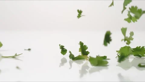 Parsley Leaves Bouncing Slow Motion White Tabletop Closeup Macro Food Studio Stock Footage 335004490