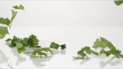 Parsley Leaves Bouncing Slow Motion White Tabletop Closeup Macro Food Studio Stock Footage 335006430