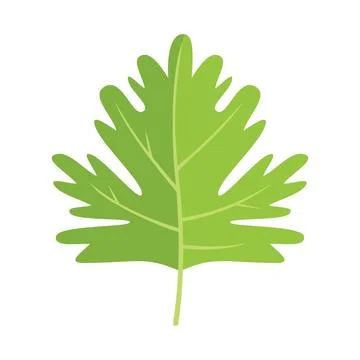 Parsley leaves icon flat vector. Leaf herb Stock Illustration