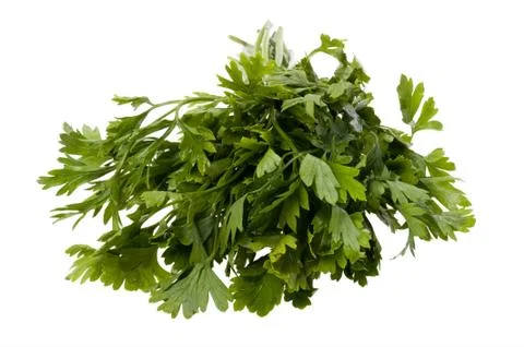 Parsley macro Stock Photos