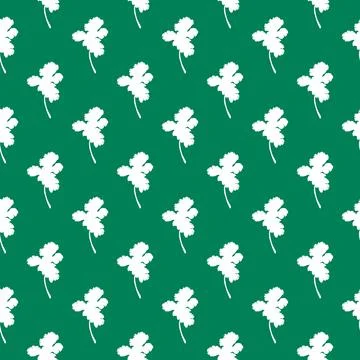 Parsley pattern. Aromatic Italian spice herbs Stock Illustration