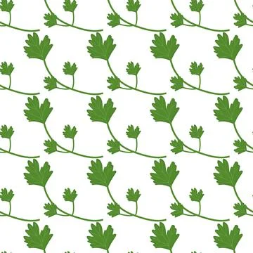 Parsley pattern on white background for use in web design Stock Illustration