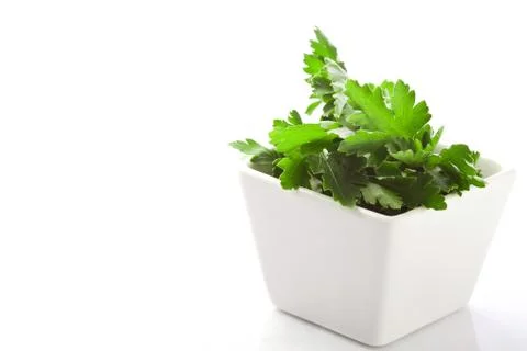 Parsley Stock Photos
