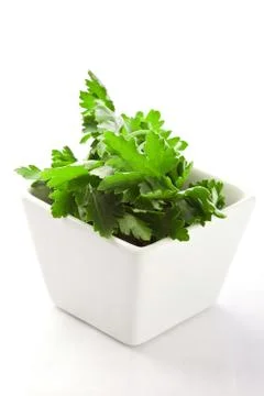 Parsley Stock Photos