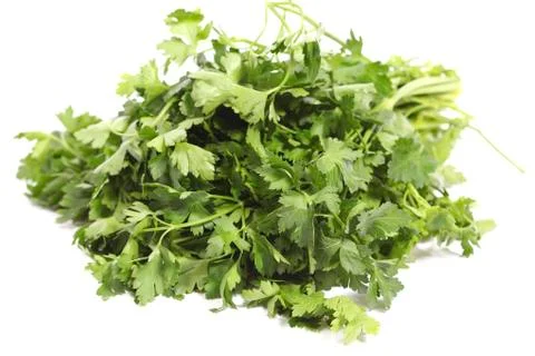 Parsley Stock Photos