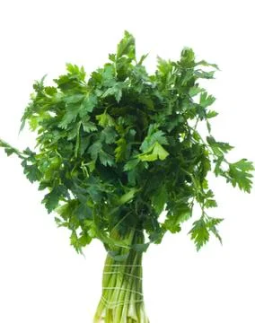 Parsley Stock Photos