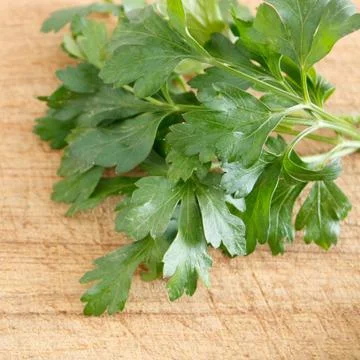 Parsley Stock Photos