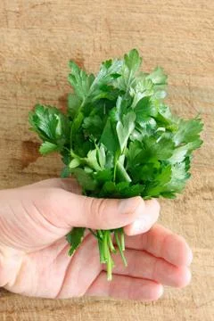 Parsley Stock Photos