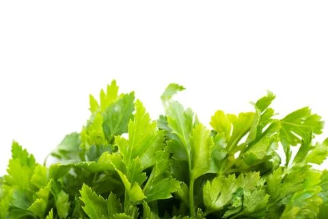 Parsley Stock Photos