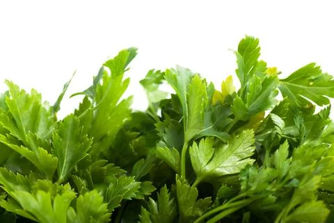 Parsley Stock Photos