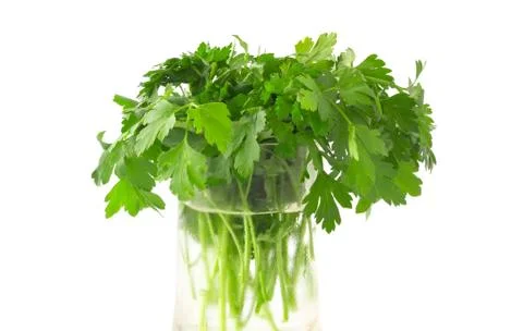 Parsley Foto stock