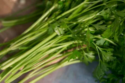 Parsley Stock Photos