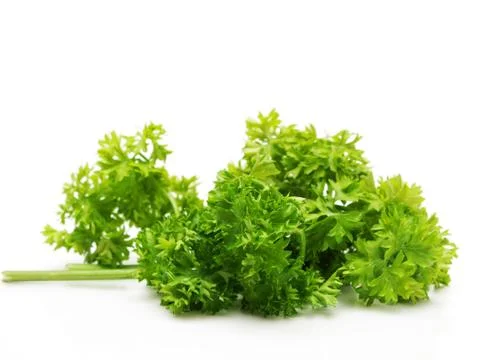 Parsley Stock Photos