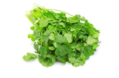 Parsley Foto stock