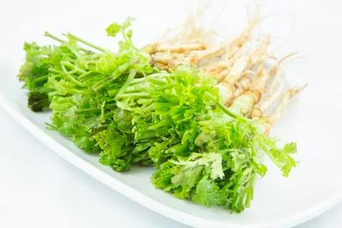 Parsley Stock Photos