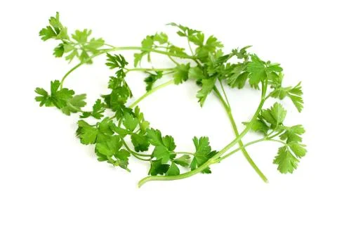 Parsley Stock Photos