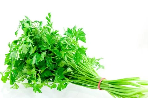 Parsley Stock Photos