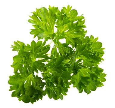 Parsley Stock Photos
