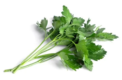 Parsley Stock Photos