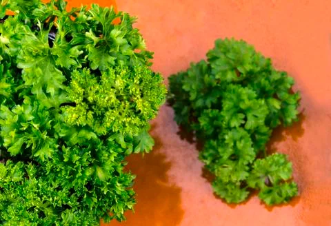 Parsley Stock Photos