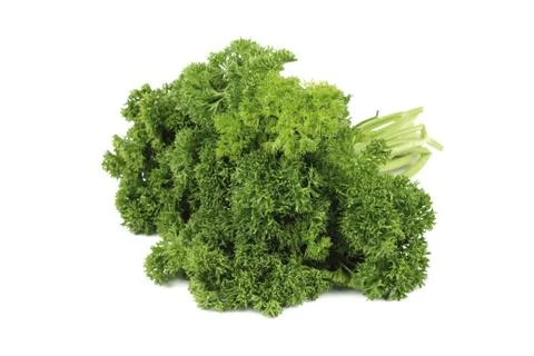 Parsley Stock Photos