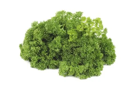 Parsley Stock Photos