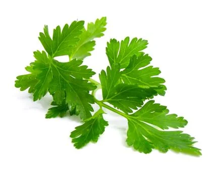 Parsley Stock Photos