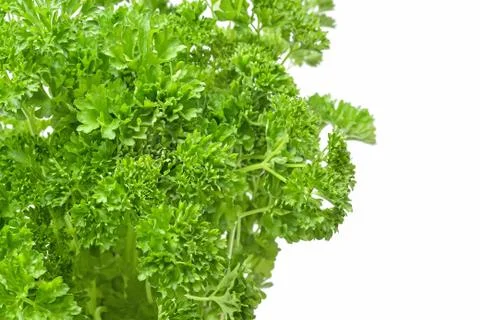 Parsley Stock Photos