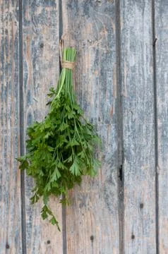 Parsley Stock-Fotos