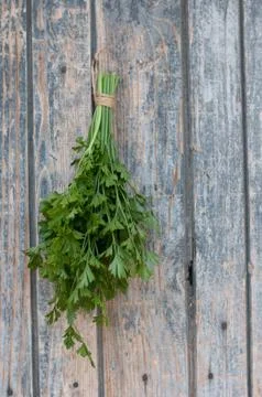 Parsley Stock Photos